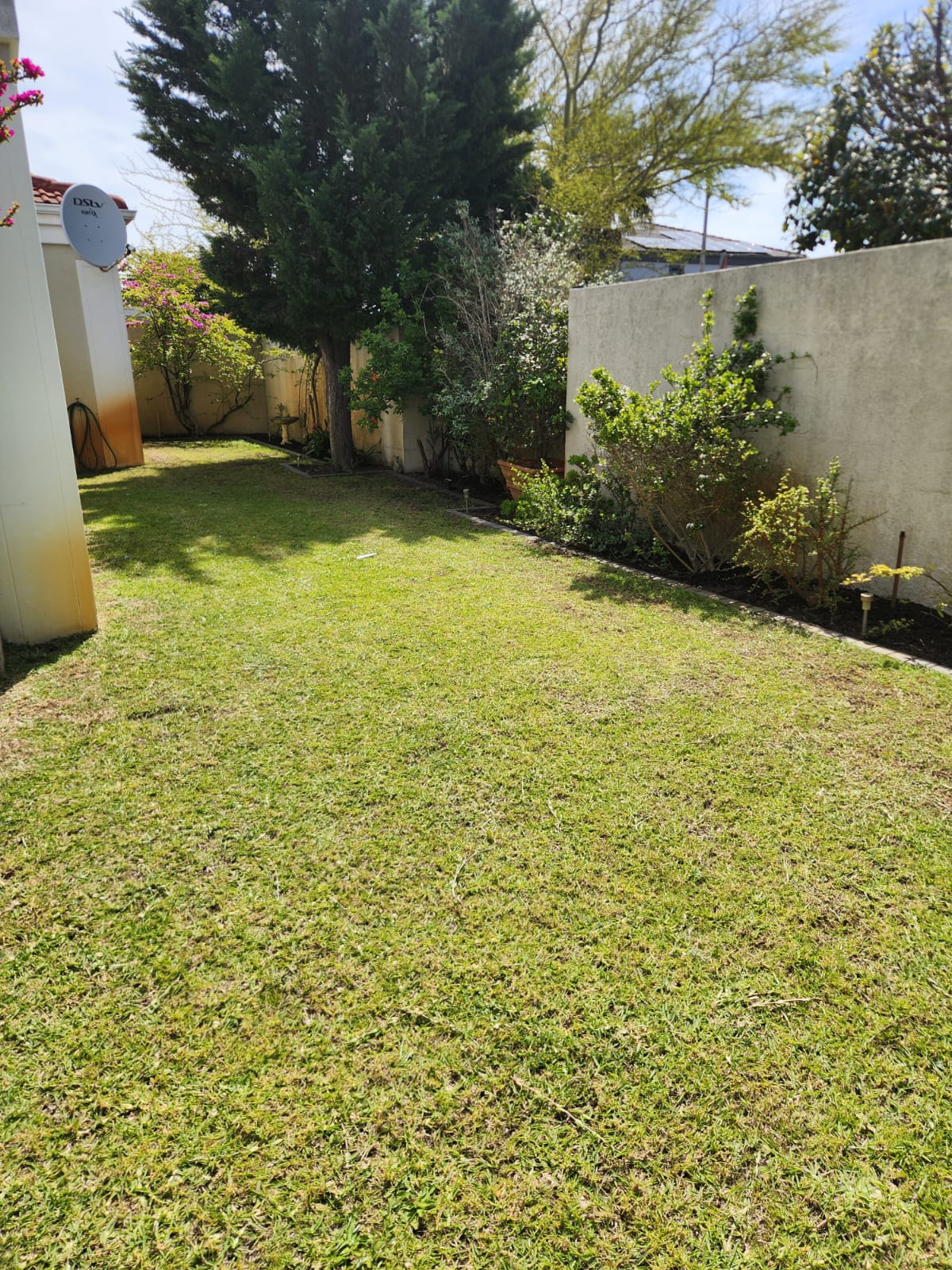 Freshly cut lawn with clean paved borders and shrubs along the wall