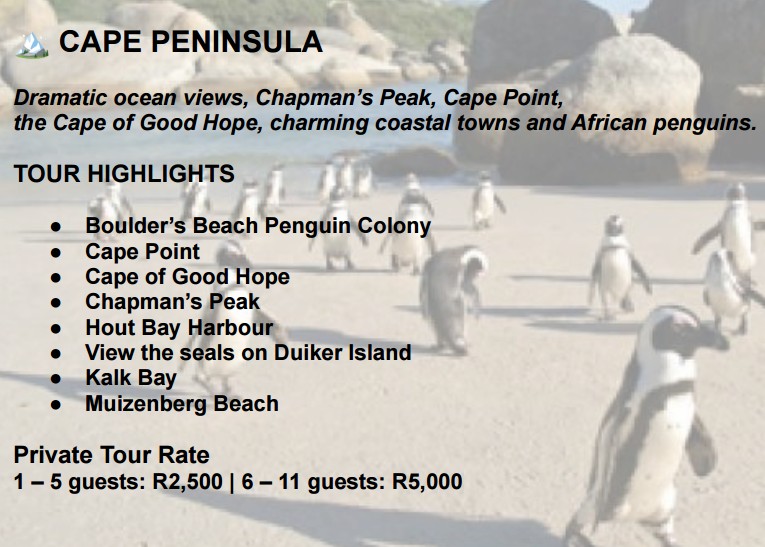 Cape Peninsula Private Tour